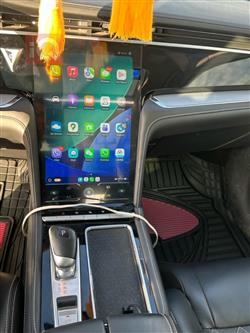 دونج فينج فينوسيا